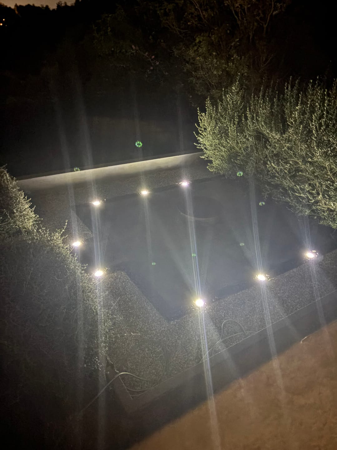 Customer photo review of Solar Ground Lights