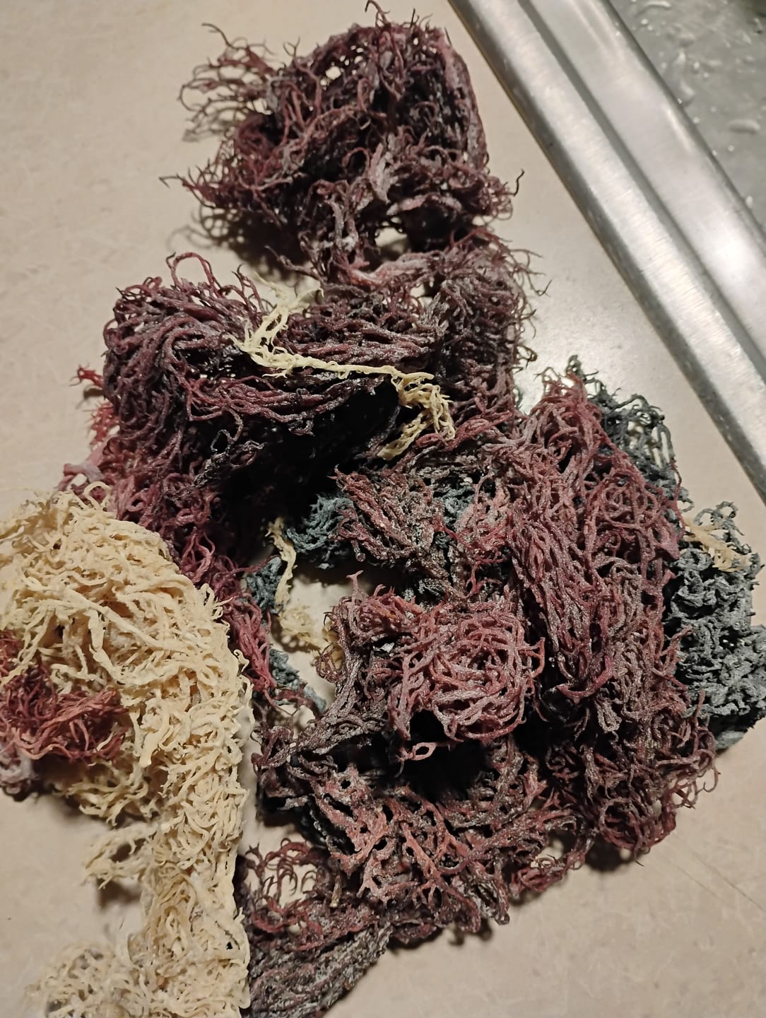 Customer photo review of Full Spectrum Irish Sea moss