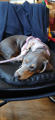 Customer photo review of Shipping Protection