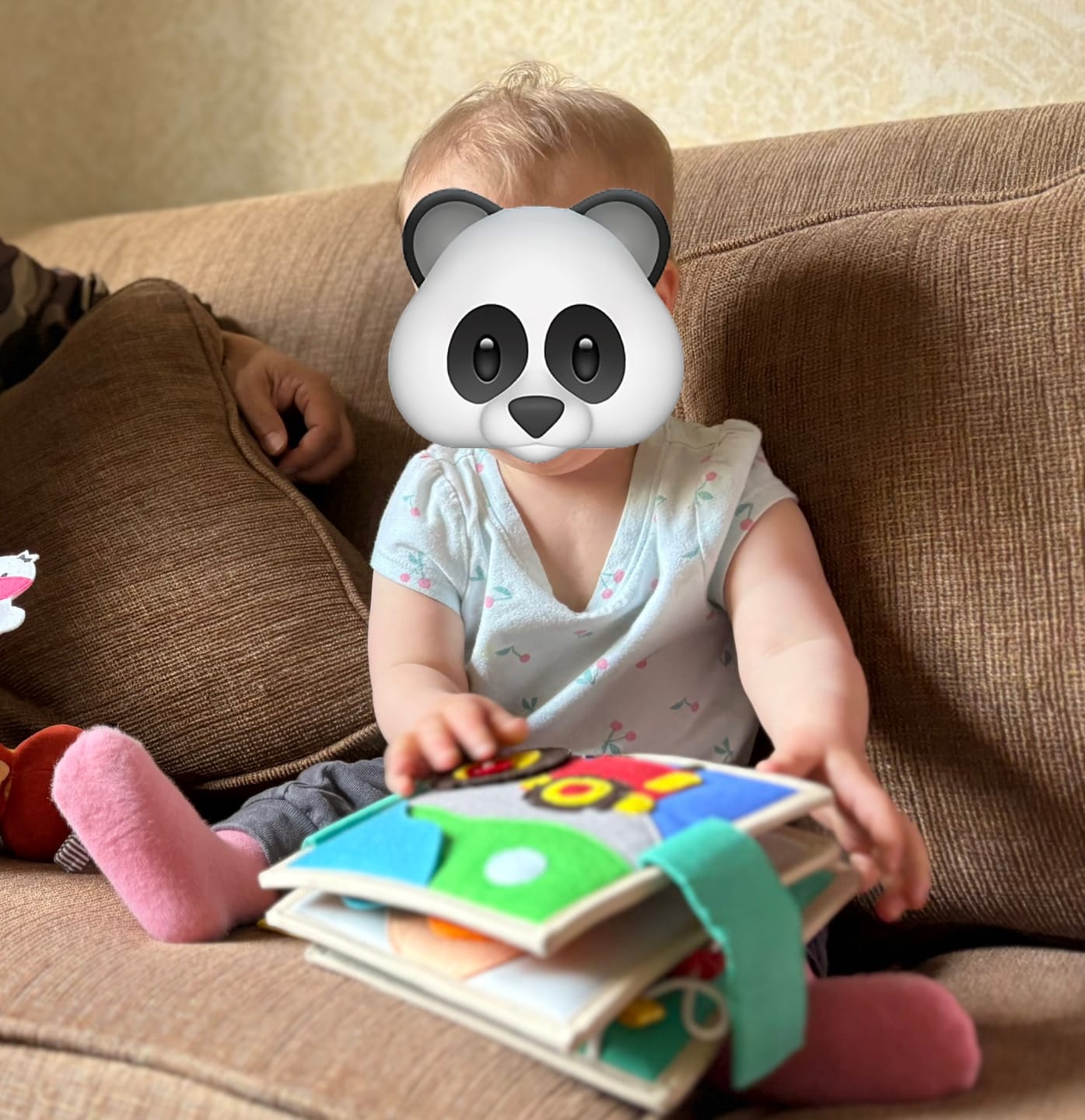 Customer photo review of Little Farm Nano