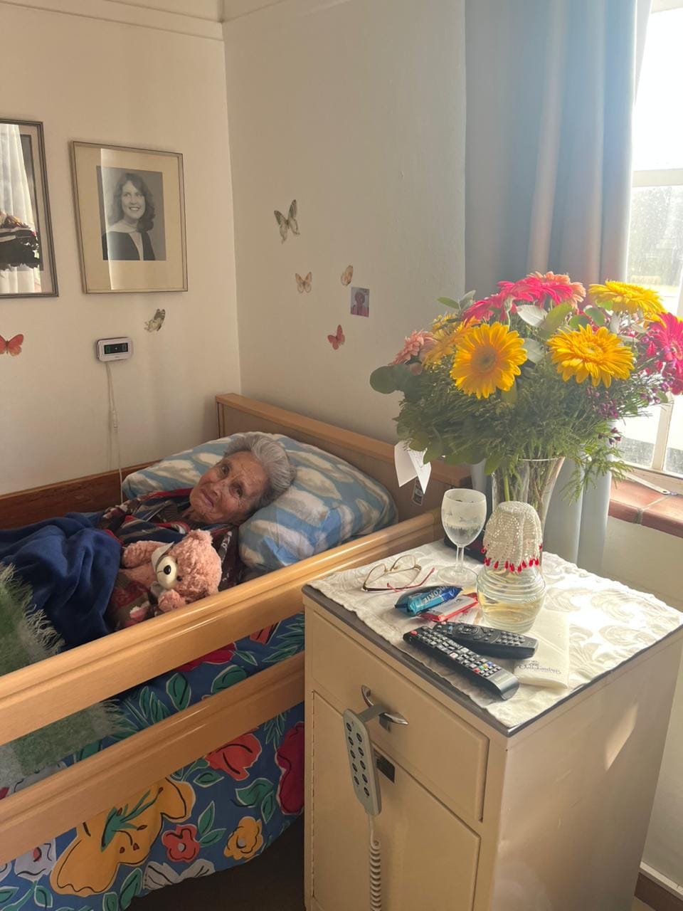 Customer photo review of Barberton Daisy Bouquet