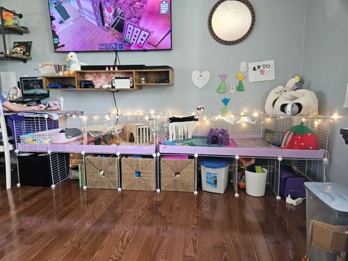 Customer photo review of 4x2 C&C Cage with Stand