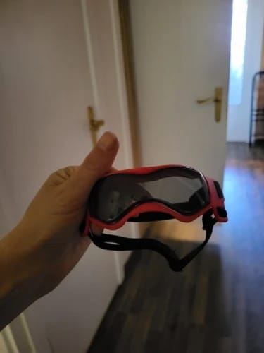 Customer photo review of Dog Outdoor UV Protection Sunglasses Goggles