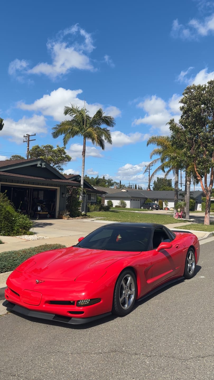 Customer photo review of Chevrolet Corvette C5 ZR1 Side Skirts Rocker Panels
