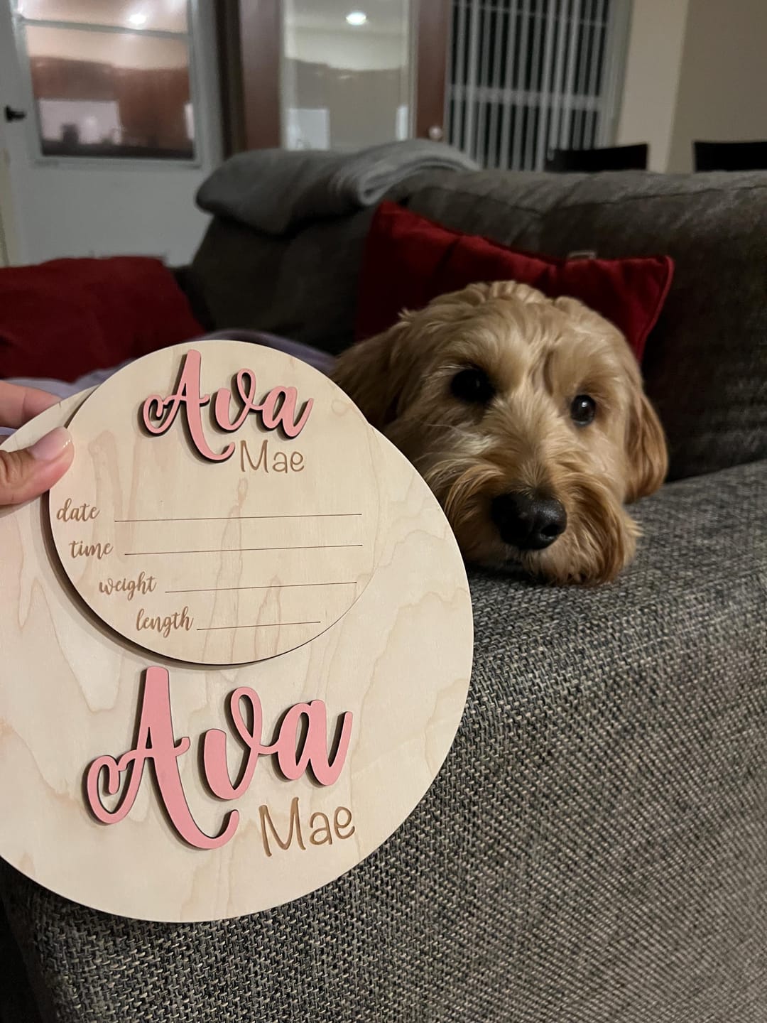 Customer photo review of Baby Name Announcement Sign with Stats