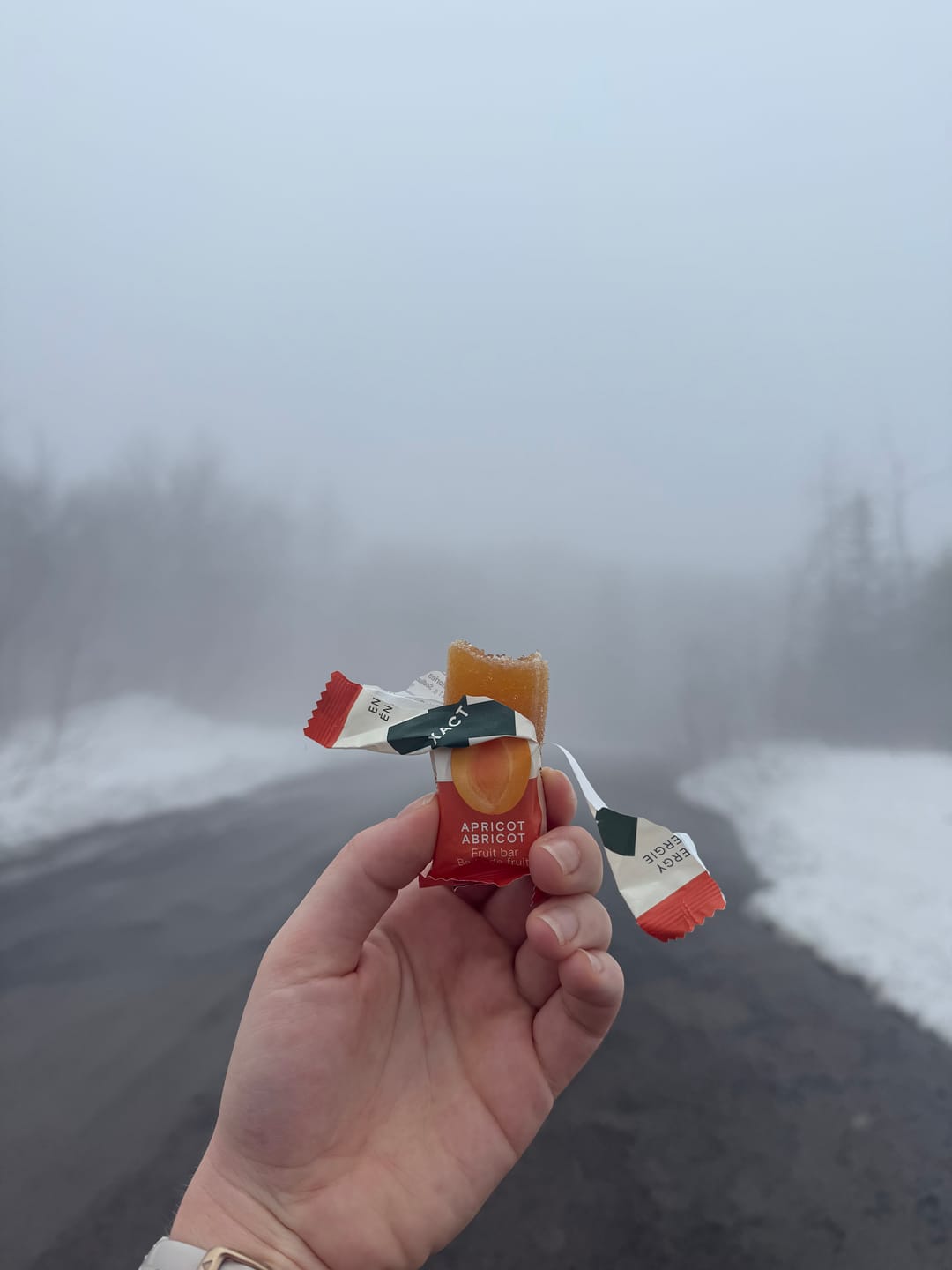 Customer photo review of XACT ENERGY fruit bars