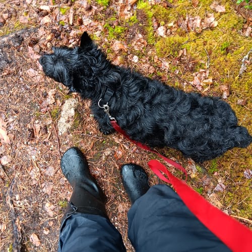 Customer photo review of Vaistoa Katve 2 -paljasjalkakumisaappaat