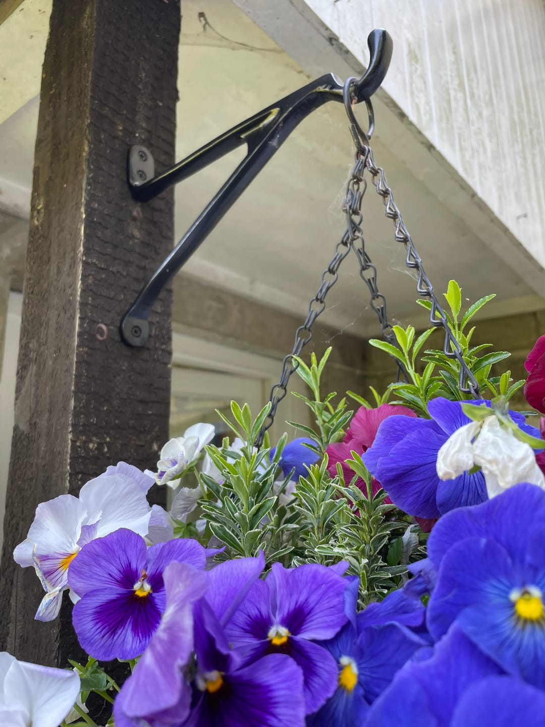 Customer photo review of 7 & 10 Inch Cast Iron Hanging Hook Bracket