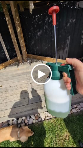 Customer video review of Artificial Grass Cleaner in Fresh Cut Grass Fragrance