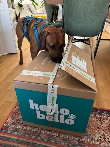 Customer photo review of Frischfutter für Energiebedarf von 1402 kCal/Tag