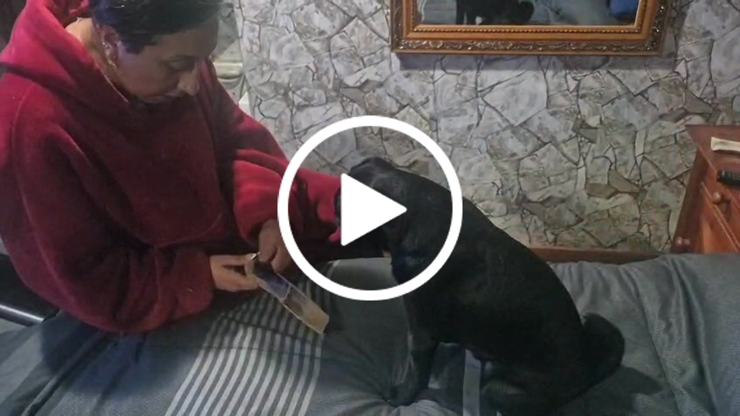 Customer video review of Patas de pollo