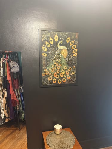 Customer photo review of Vintage Peacock No3 Print