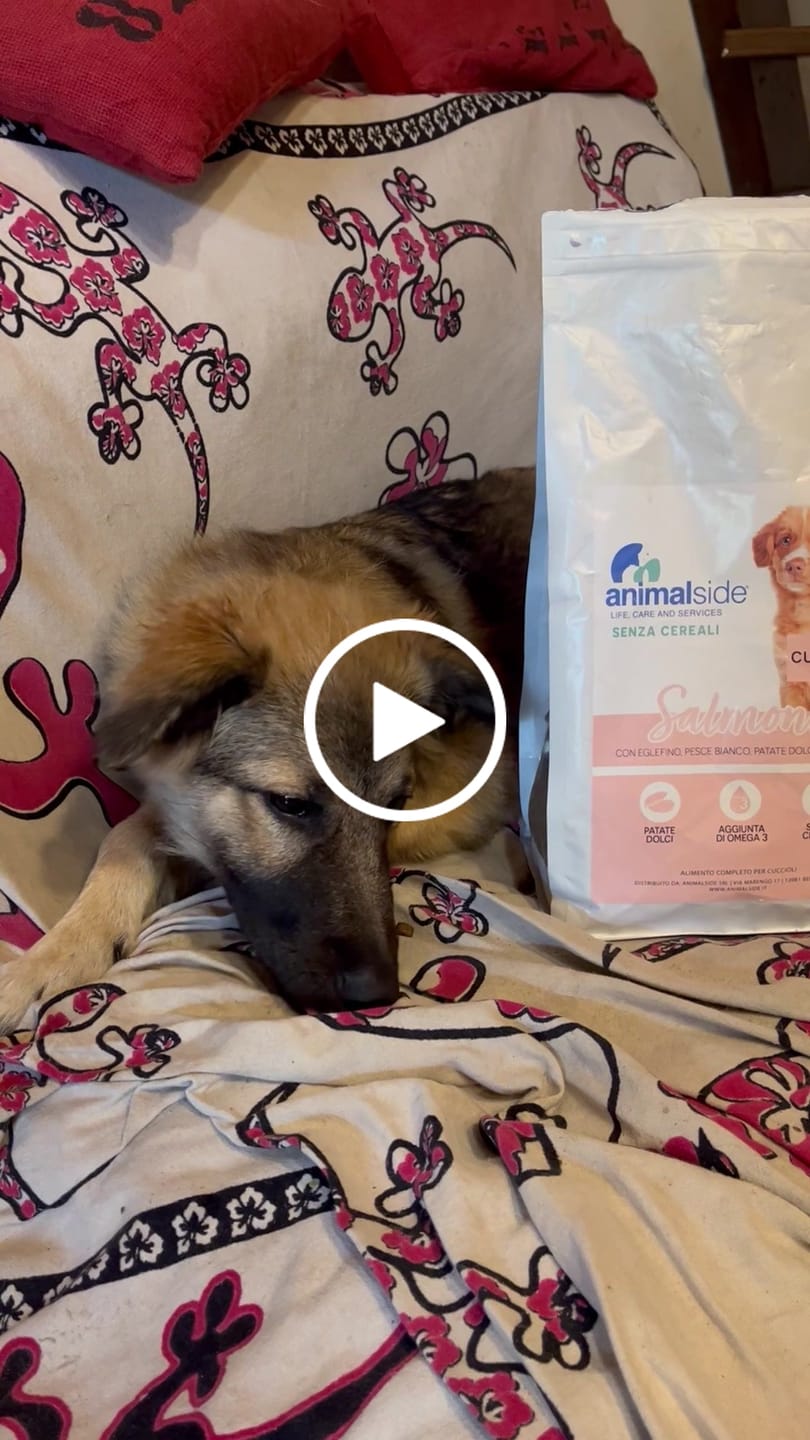 Customer video review of Crocchette per cani Cuccioli (Puppy) - Salmone con Eglefino, pesce Bianco Patate Dolci e Asparagi - Grain Free (senza cereali)