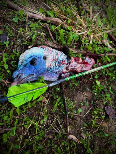 Customer photo review of Turkey Decapper System