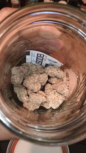 Customer photo review of Pink Panties