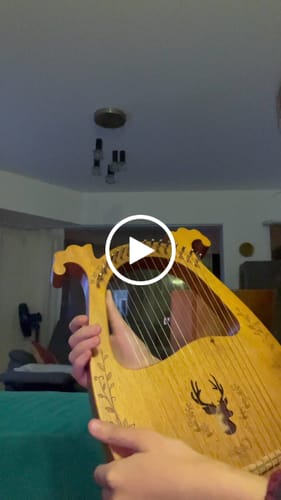 Customer video review of Cega 19-String 16-String Deer Lyre Harp Resonance Box Instrument