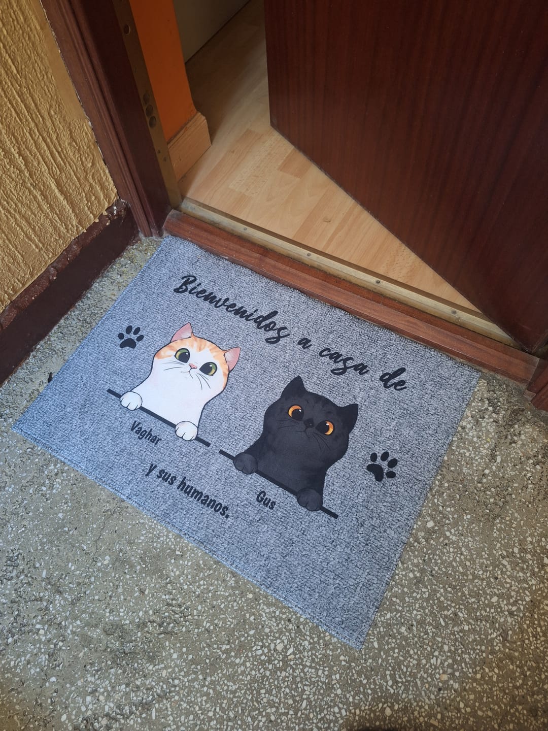 Customer photo review of Bienvenidos a lo de gatos curiosos - Felpudo personalizado