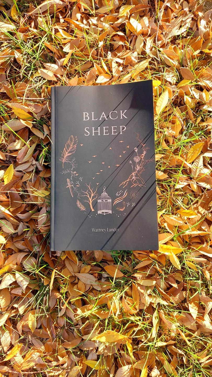 Customer photo review of Black Sheep