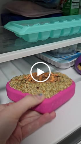 Customer video review of FreezHeart - Durable Heart Enrichment Chew