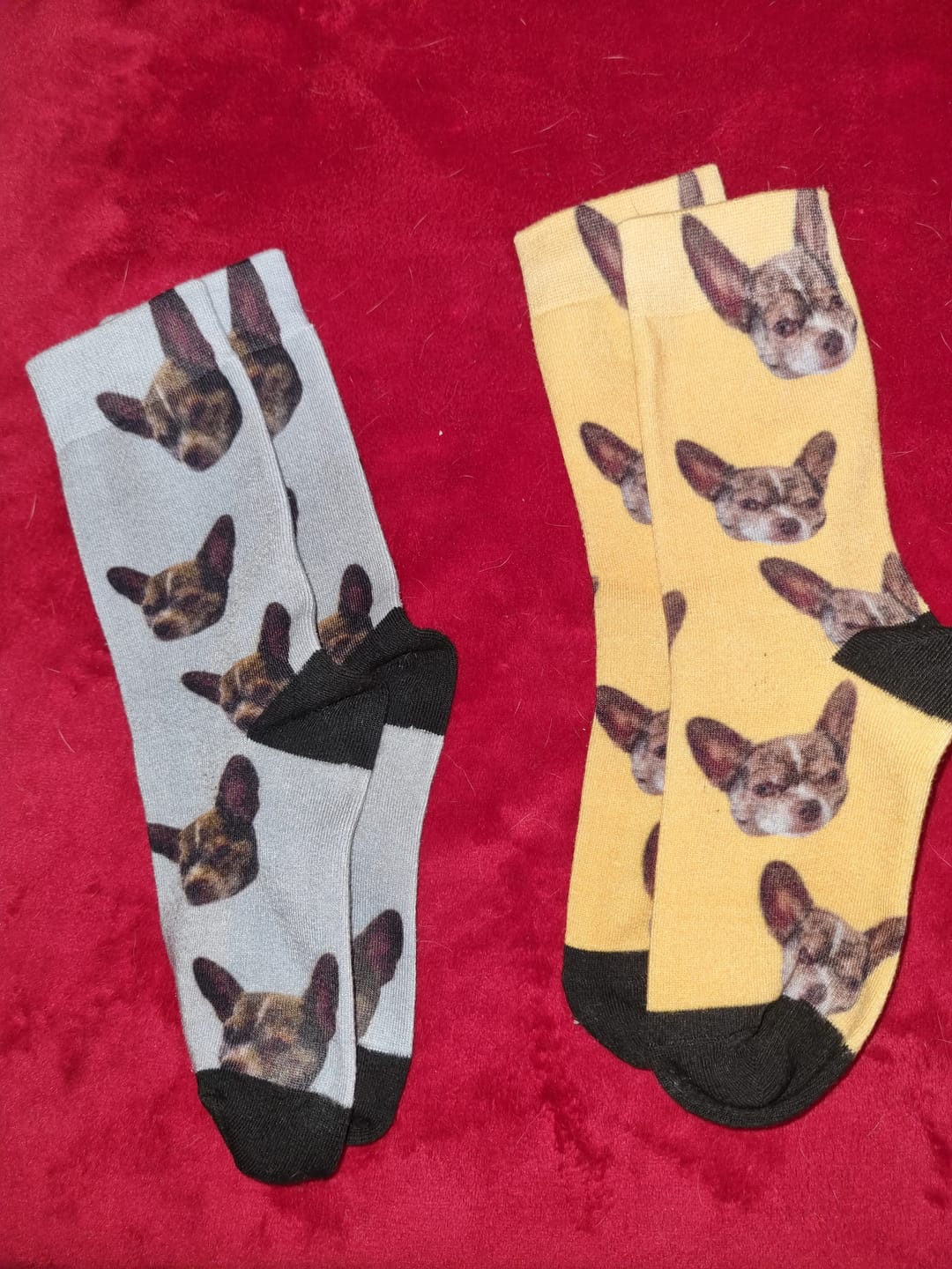 Customer photo review of Votre photo - Chaussettes personnalisées