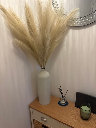 Customer photo review of Tall Aria Iron Vase - Pale Taupe
