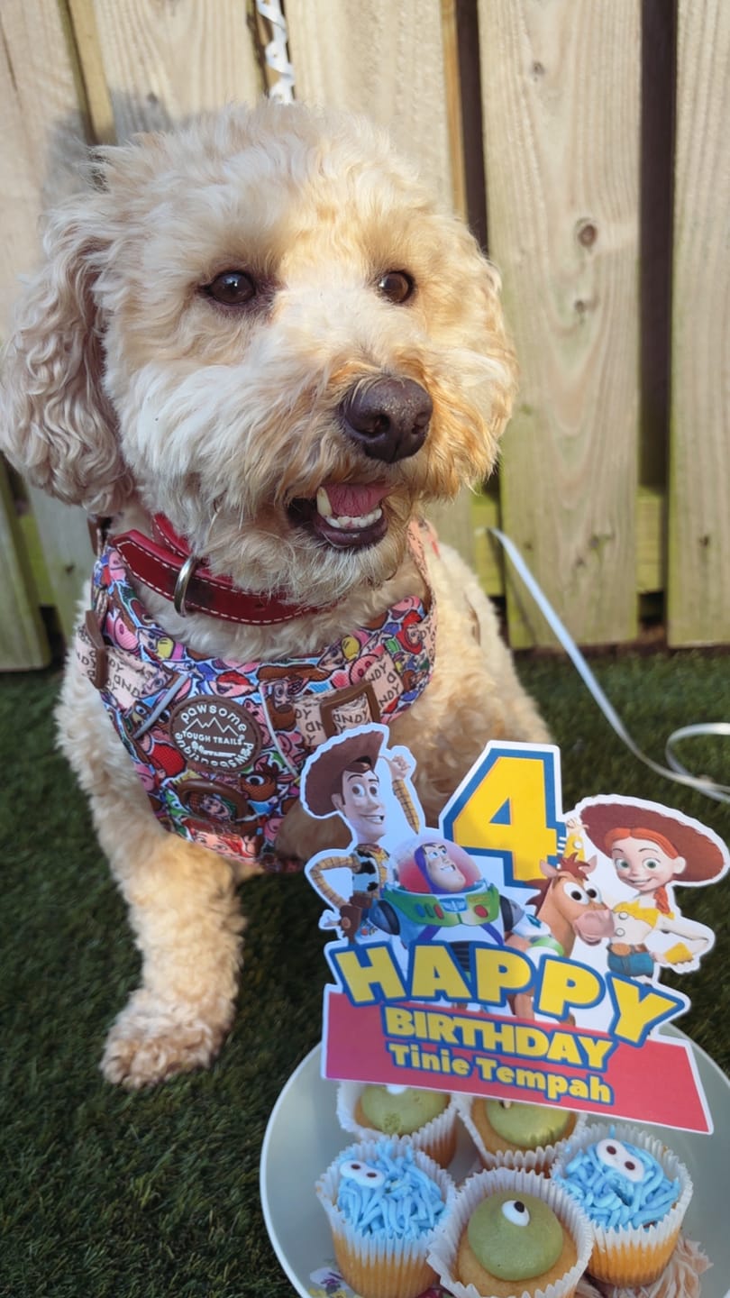 Customer photo review of Disney© Tough Trails™ Harness - Toy Story Friends