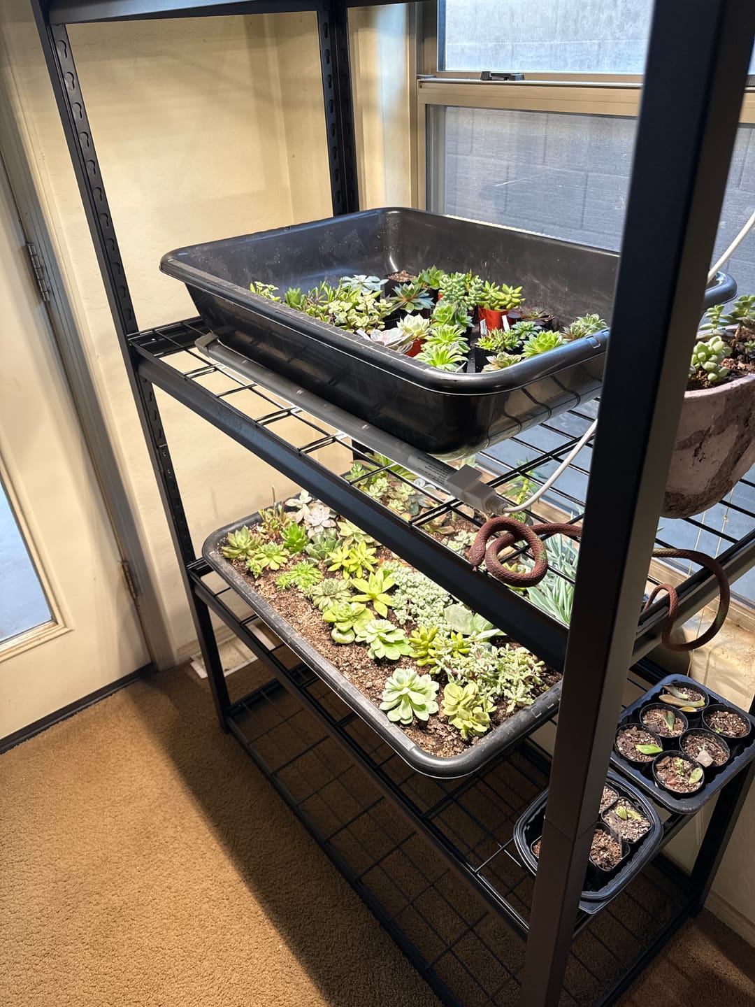 Customer photo review of REIBII 59.9"H 4 Tiers Industrial Shelves Adjustable Shelving for Garage Warehouse Basement Pantry