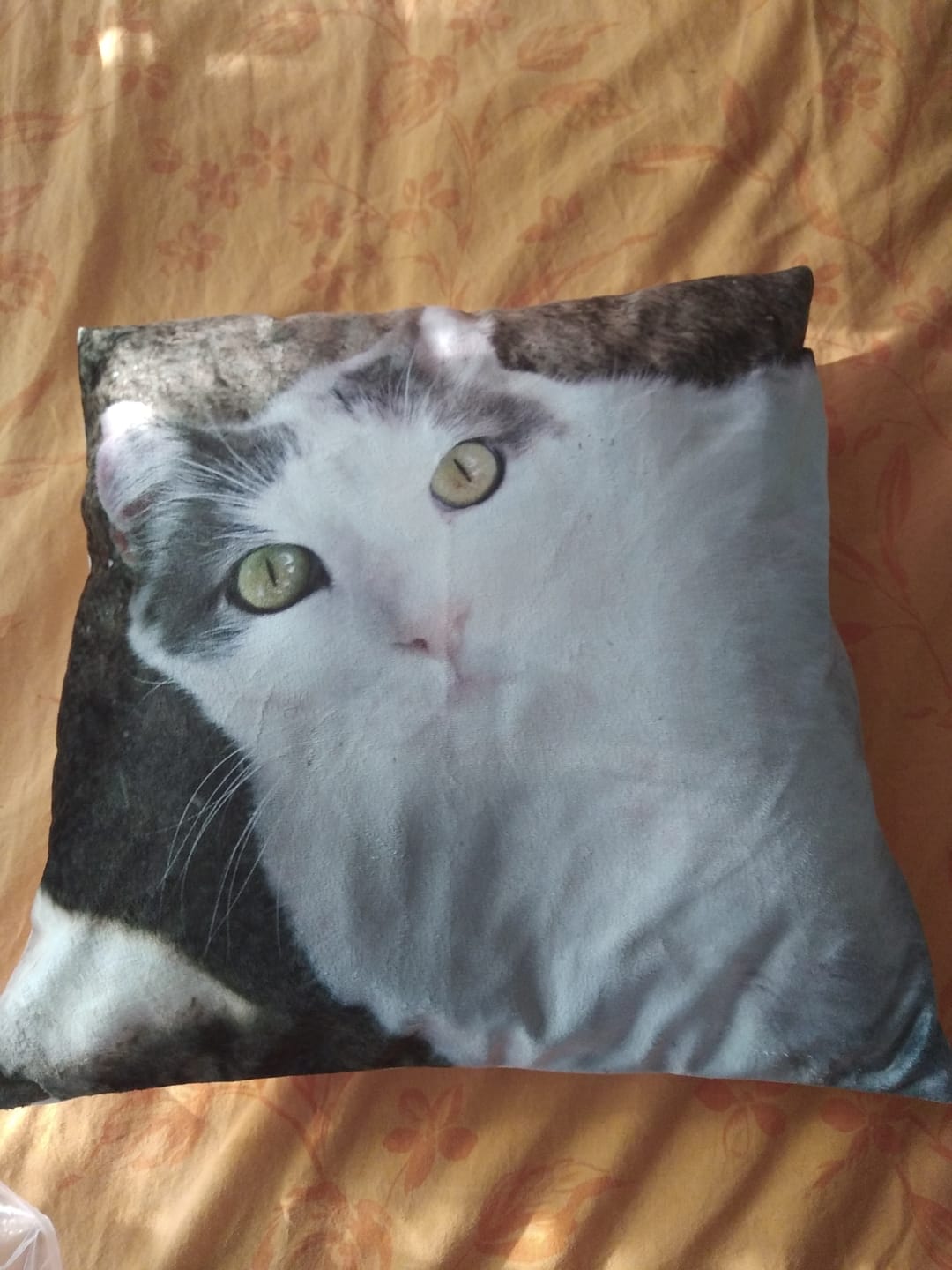 Customer photo review of Avec photo - Coussin personnalisé