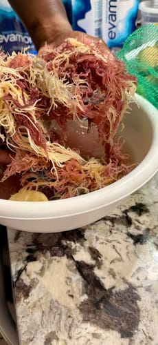 Customer photo review of St. Lucia Wildcrafted Gold Raw Sea Moss