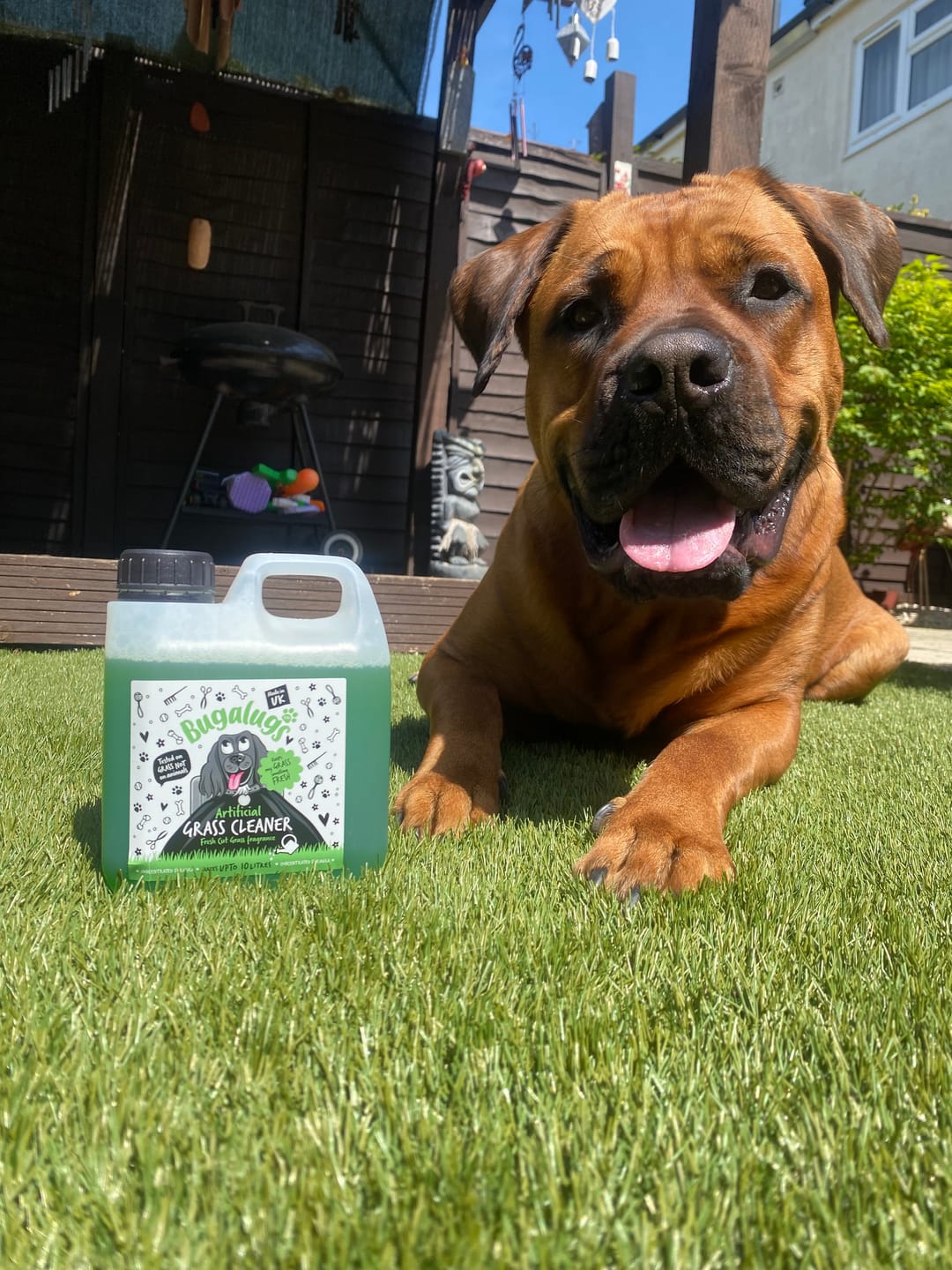 Customer photo review of Artificial Grass Cleaner in Fresh Cut Grass Fragrance
