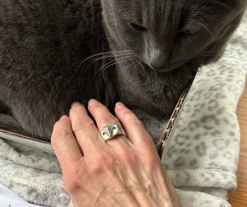 Kim C. owl ring review