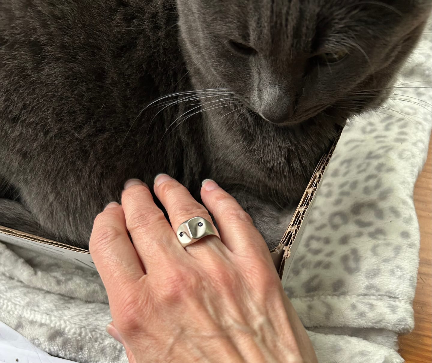 Customer photo review of Owl Ring with Sapphire Eyes