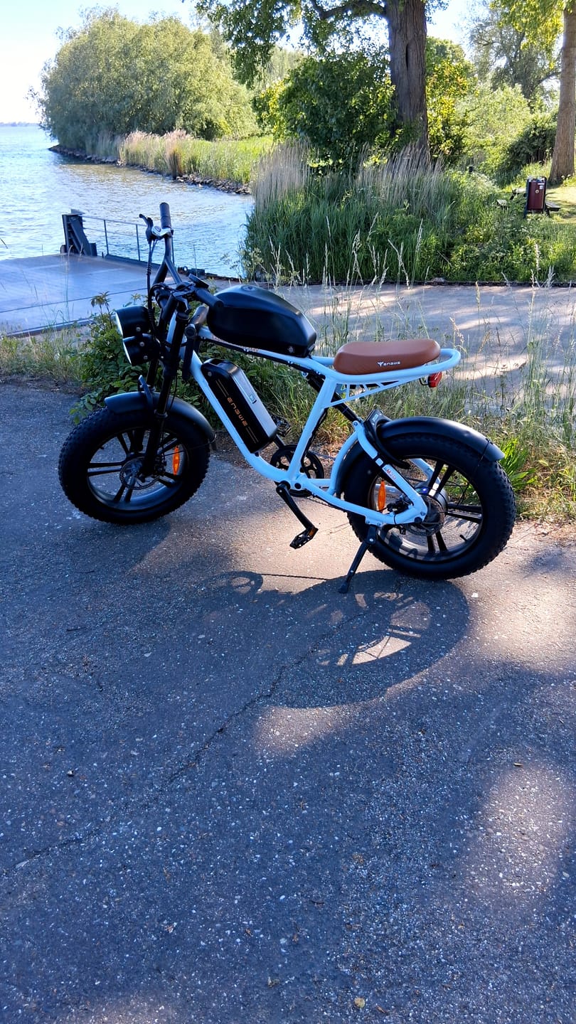 Customer photo review of ENGWE M20 (13Ah) - Wit