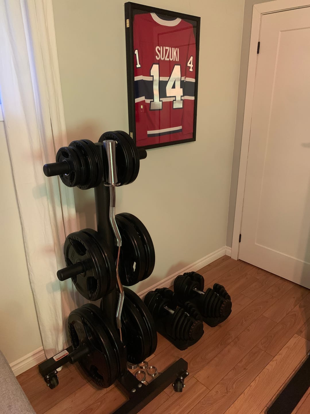 Customer photo review of Plaques de Poids Olympique Recouverte de Caoutchouc ** VENDU EN PAIRE**