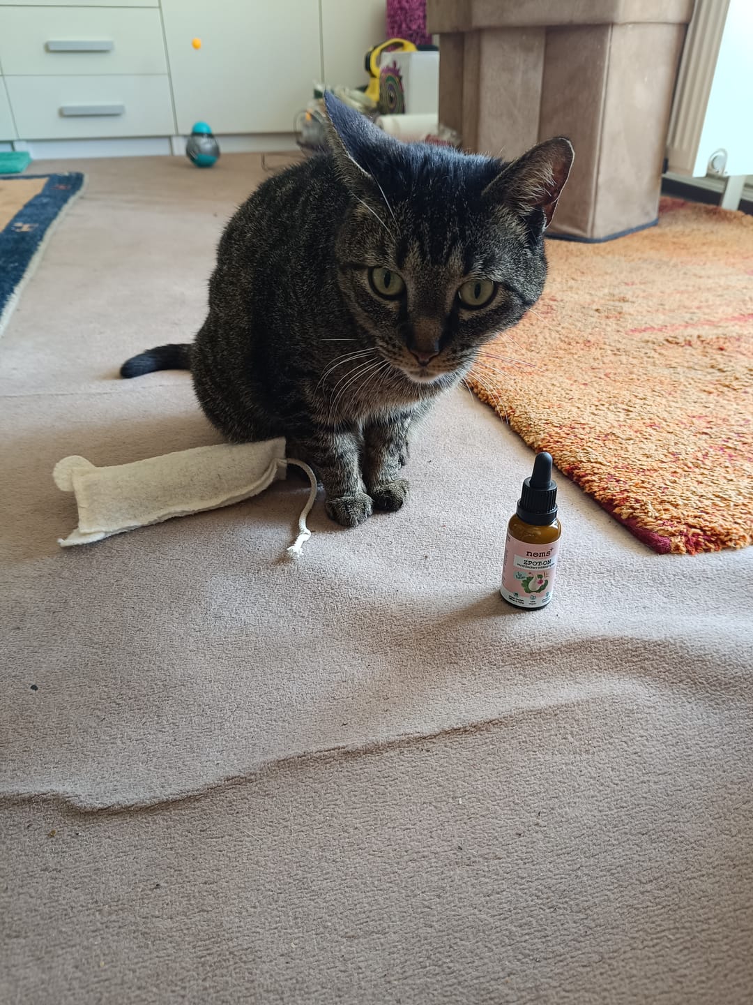 Customer photo review of Zpot-on für Katzen gegen Zecken, Flöhe, Milben & Mücken [Jahresvorrat]