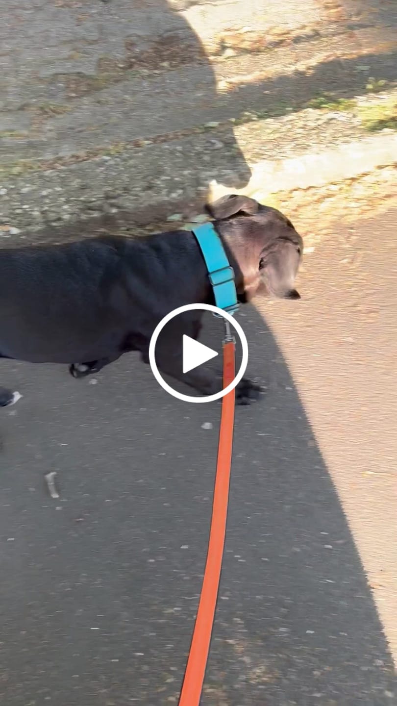 Customer video review of 1.4m Active Light Lead - Orange