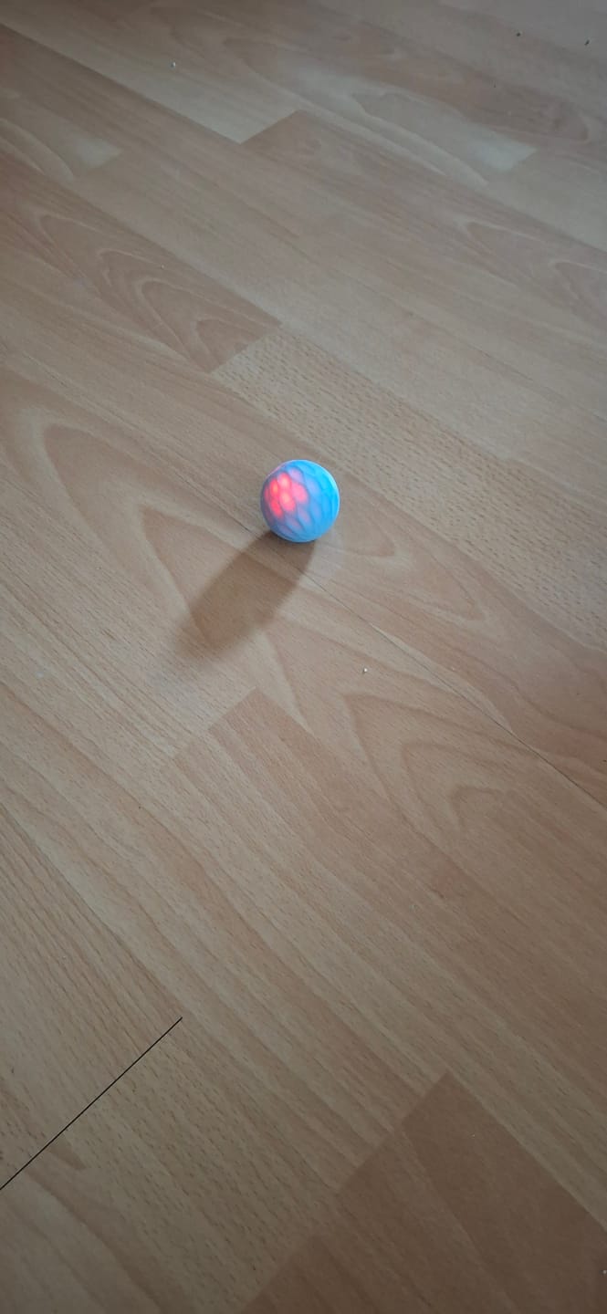 Customer photo review of POWER BALL 2.0