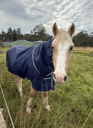 Customer photo review of Amigo Ripstop 900D Plus Turnout 100g