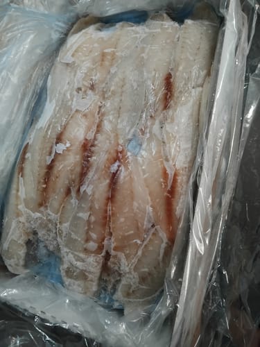 Customer photo review of 5KG Snapper Fillets (Skinned and Boned) Frozen