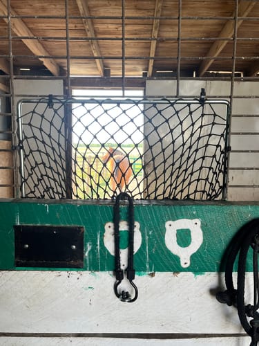 Customer photo review of Hay Chix® Panel Feeder