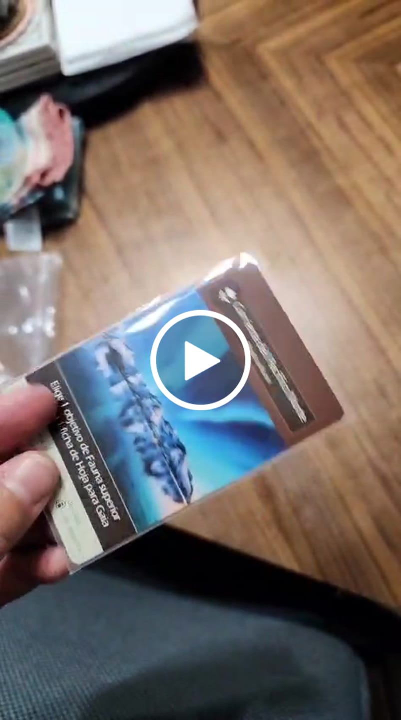 Customer video review of Clear Matte Standard American Card Sleeves