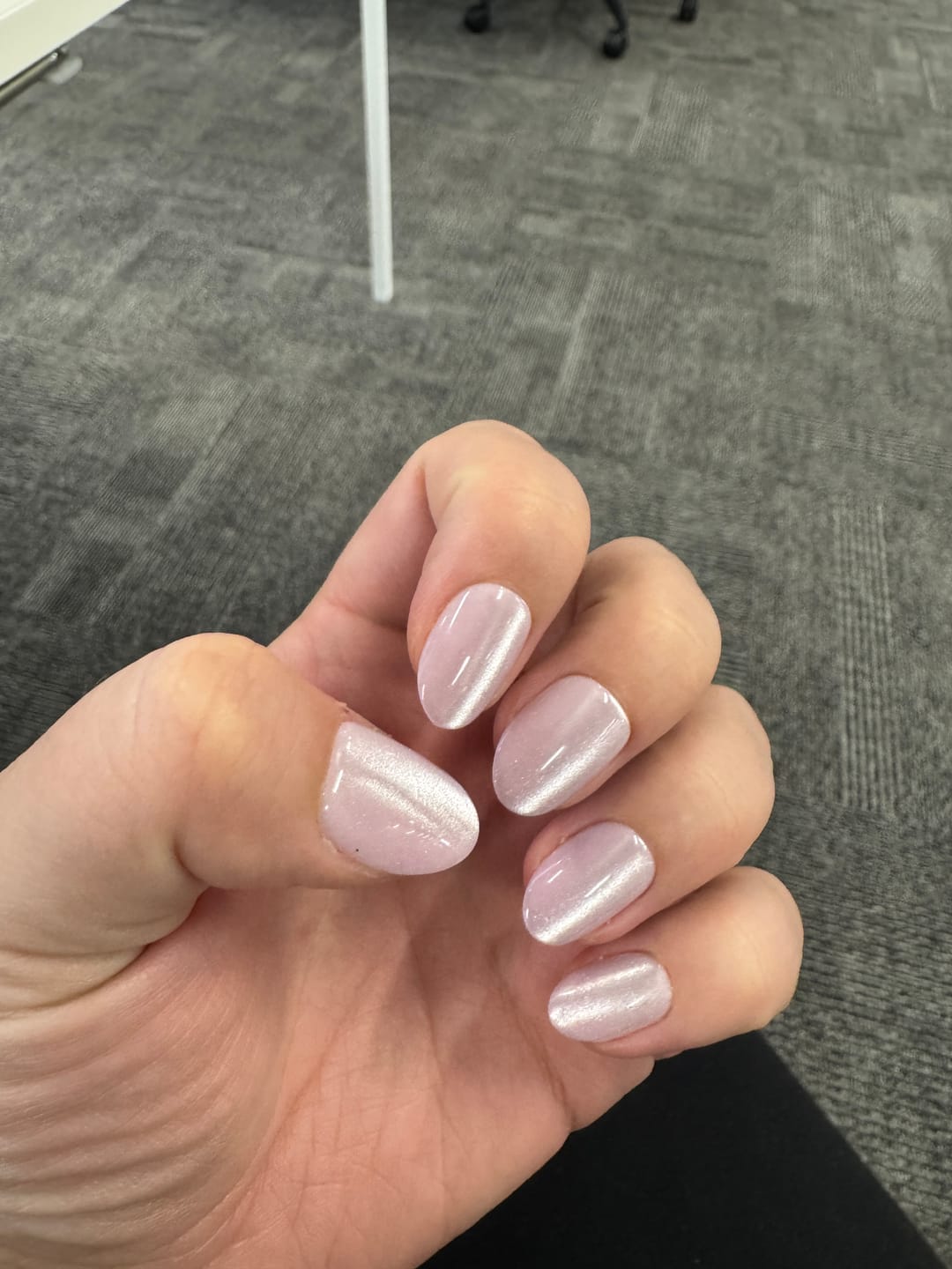 Customer photo review of Bewitched