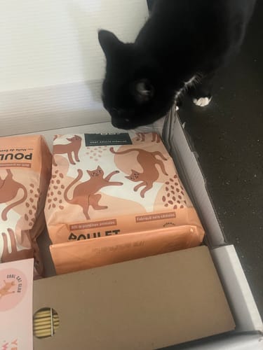 Avis photo d'un client sur Pâtée Chat Senior Sans Céréales - Saumon