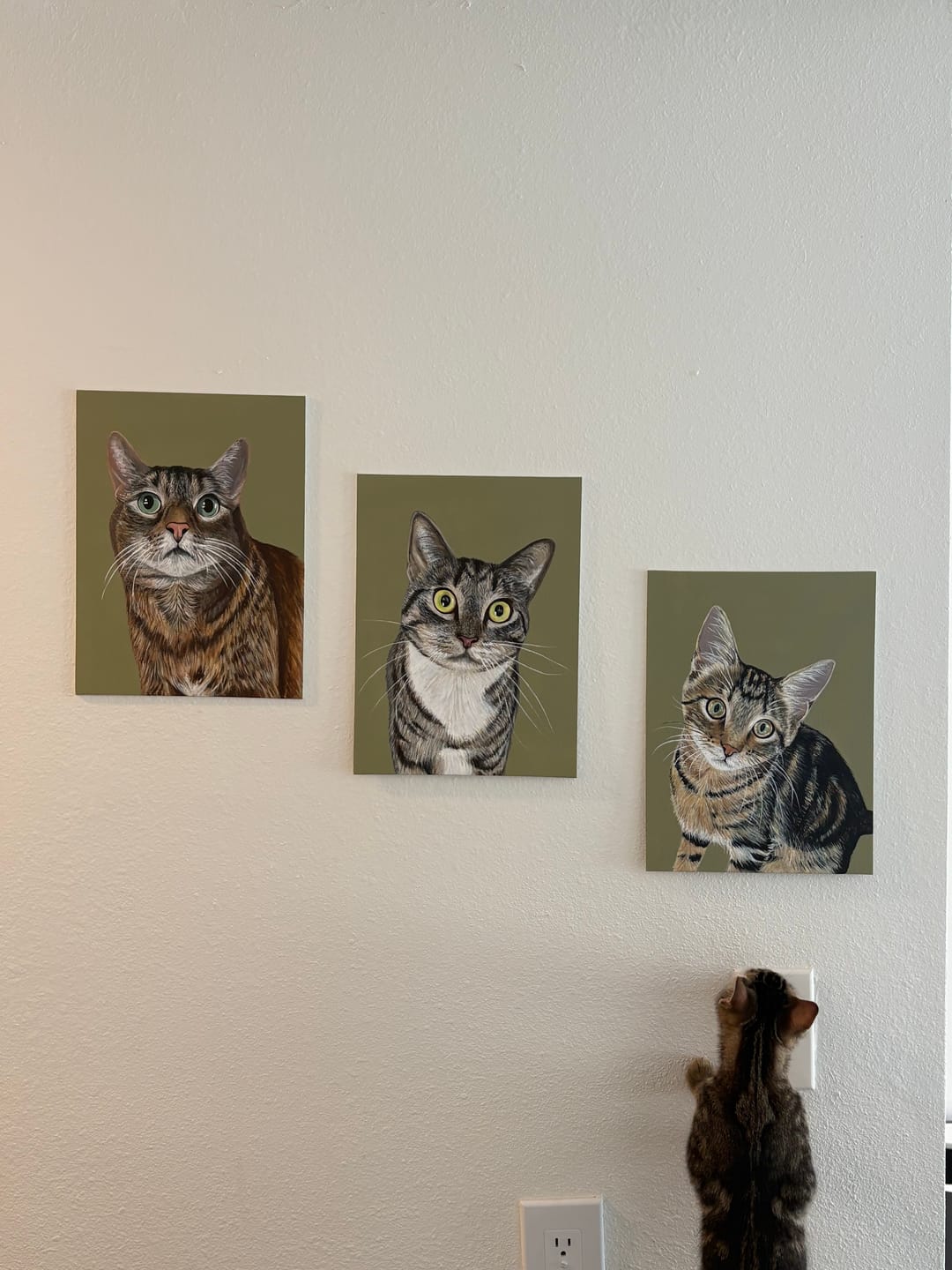 Customer photo review of Custom Pet Painting