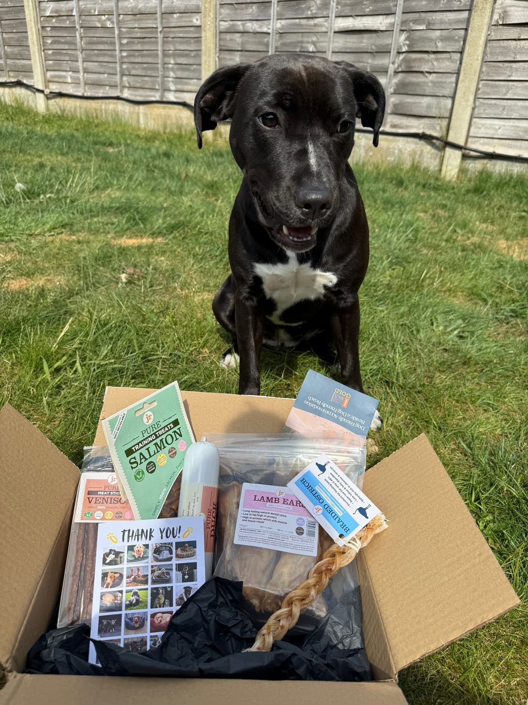 Customer photo review of JR Pet Products Puppy Bundle (12+ Weeks) | Hypoallergenic Natural Treats & Chews for Growing Dogs