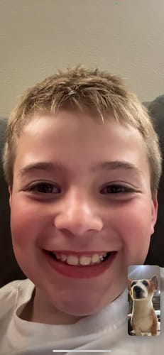 Custom Petslify plush reviewed by Mylisia W., handmade replica of their cat