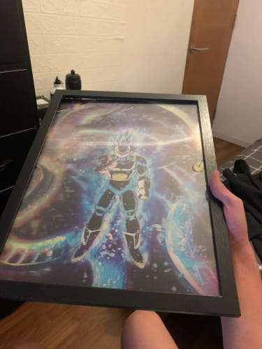 Customer photo review of Dragon Ball 3D