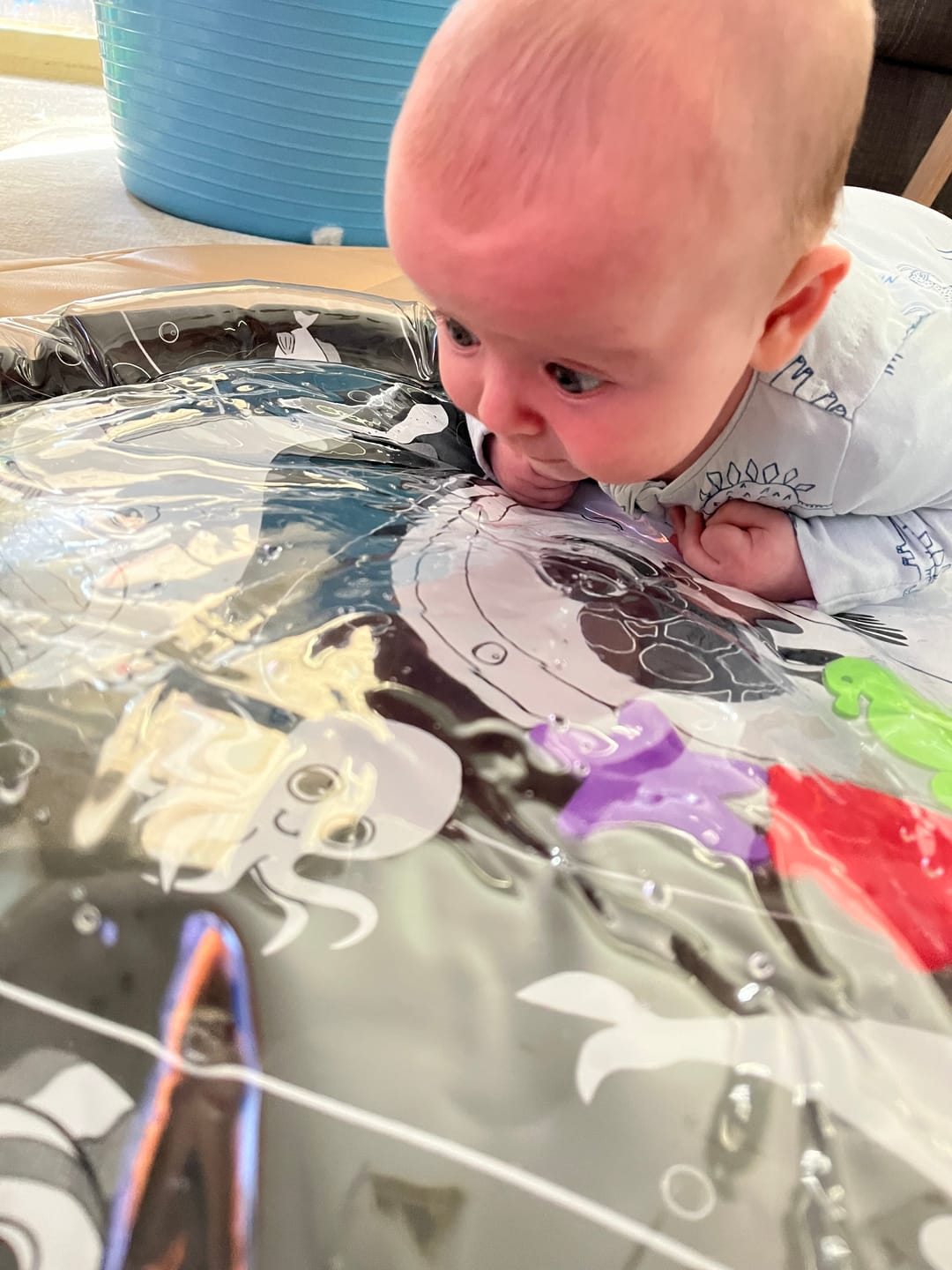 Customer photo review of Under The Sea High Contrast Sensory Water Mat