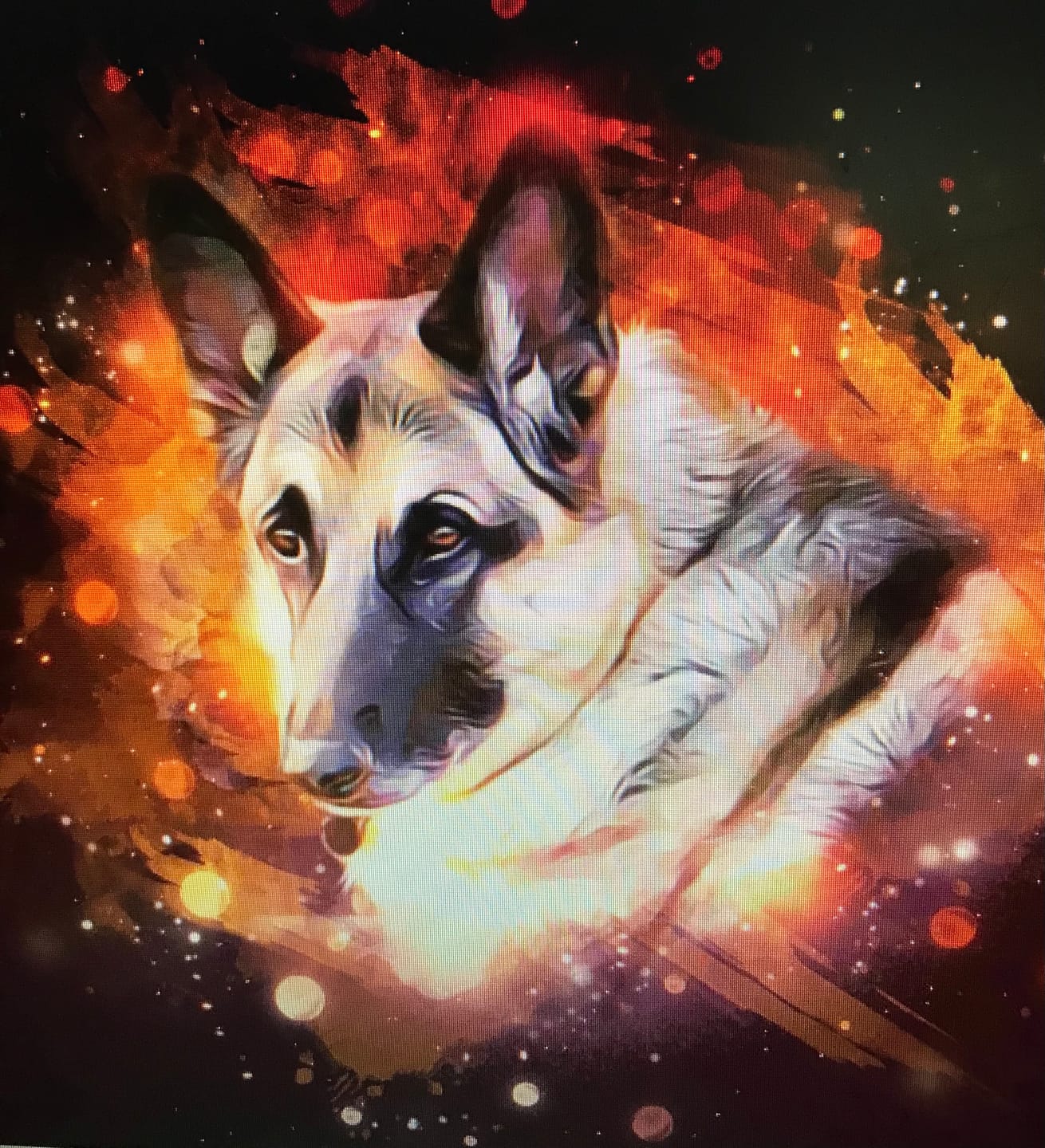 Customer photo review of Custom Neon Watercolor Pet Portrait – Aesthetic Neon Style (AN)