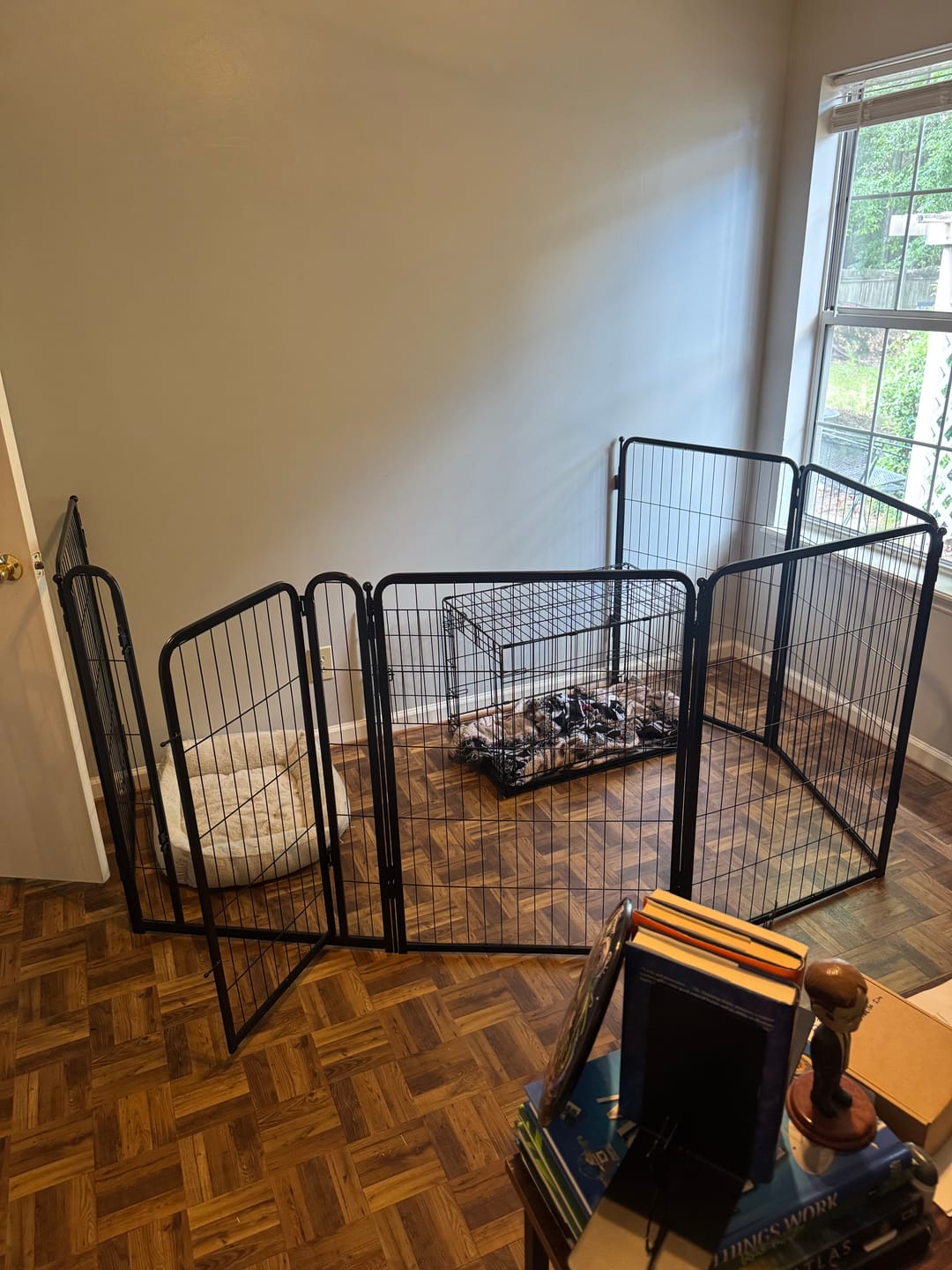Customer photo review of Homeplus Dog Playpen for Indoor Use
